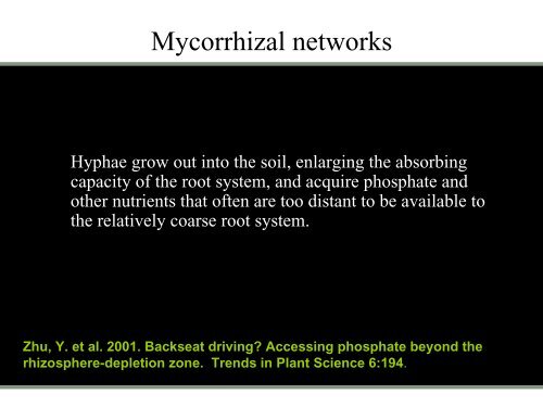 Selection of mycorrhizal inoculum for California Native Plants