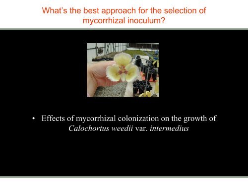 Selection of mycorrhizal inoculum for California Native Plants