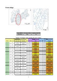 Asta principale del fiume ADIGE - Agenzia provinciale per la ...