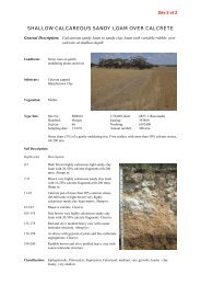 SHALLOW CALCAREOUS SANDY LOAM OVER CALCRETE - asris