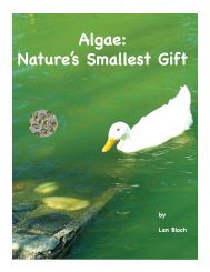 DOWNLOAD Algae: Nature's Smallest Gift - Fun Science Project Ideas