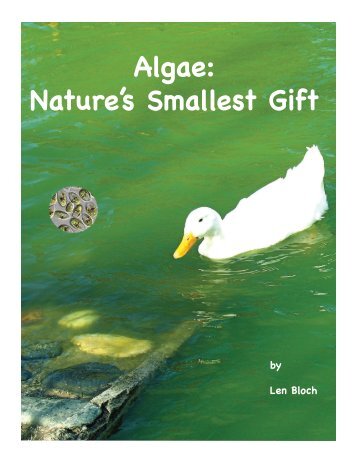 DOWNLOAD Algae: Nature's Smallest Gift - Fun Science Project Ideas