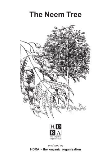 autobiography of a neem tree वो पीपल का पेड़ – peepal tree (hindi story on memory of grandmother my grandmother loved me very much and often saved me from my mother’s anger. autobiography of a neem tree वो पीपल का पेड़ – peepal tree (hindi story on memory of grandmother my grandmother loved me very much and often saved me from my mother’s anger.