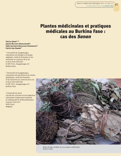 Plantes médicinales et pratiques médicales au Burkina Faso : cas ...