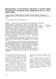 measurements of chromosome aberration at tomato plants