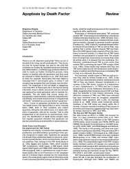 Apoptosis by Death Factor Review