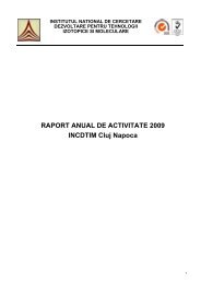 Raport anual de activitate pentru anul 2009 - ITIM