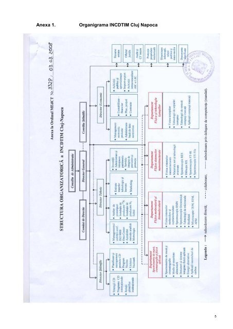 Raport anual de activitate pentru anul 2009 - ITIM