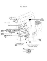 setting up DIC on the Zeiss Axioskop
