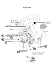 setting up DIC on the Zeiss Axioskop