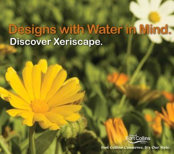 Designs with Water in Mind: Discover Xeriscape