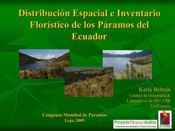 DistribuciÃ³n Espacial e Inventario FlorÃ­stico de los PÃ¡ramos del ...