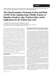 The Global boundary Stratotype Section and Point (GSSP) of ... - Ispra