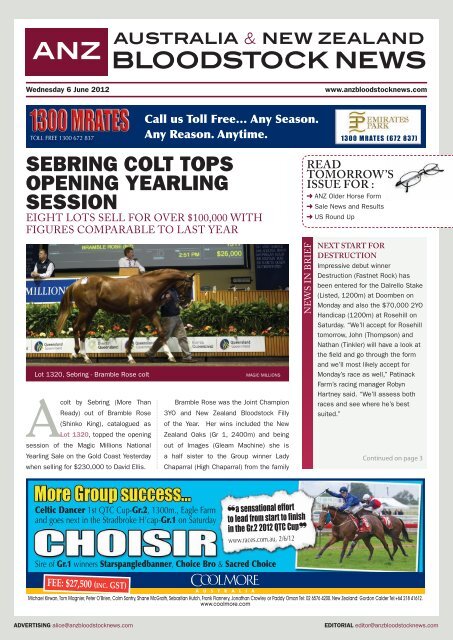 READ TOmORROw'S ISSUE FOR - ANZ Bloodstock News