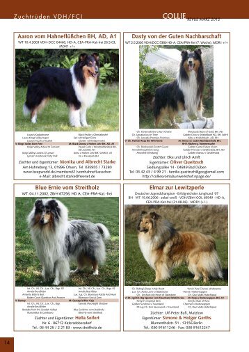 Eva's Collie-Shop - Infohund