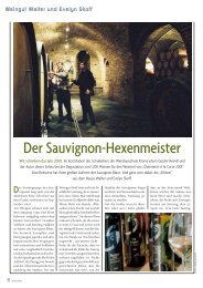 Der Sauvignon-Hexenmeister