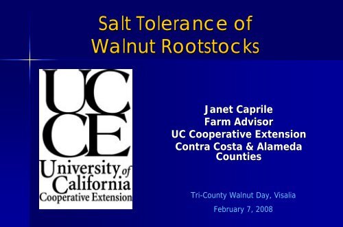 Salt Tolerance of Walnut Rootstocks - Kings County