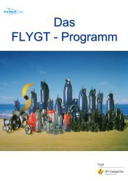 Das FLYGT - Programm