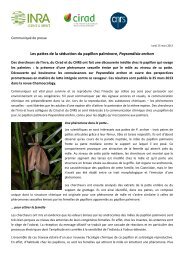 Les pattes de la sÃƒÂ©duction du papillon palmivore ... - CNRS