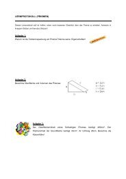 LERNPROTOKOLL (PRISMEN) - problemloesenlernen.de