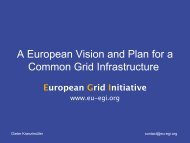 European Grid Initiative - e-IRG