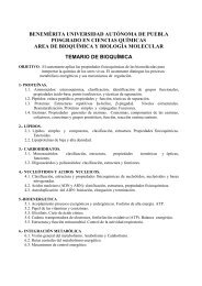 BioquÃ­mica - Posgrado en Ciencias QuÃ­micas BUAP - BenemÃ©rita ...