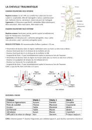 LA CHEVILLE TRAUMATIQUE - PIU: Petit interne d'urgentologie