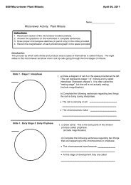 B09 Microviewer Plant Mitosis