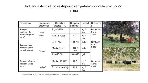 Factores que inciden en el aprovechamiento de madera en ... - Catie