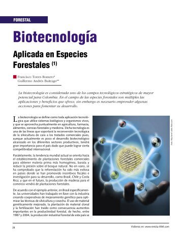 BiotecnologÃ­a Aplicada en Especies Forestales. - Revista El Mueble ...