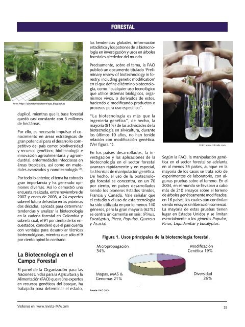 BiotecnologÃ­a Aplicada en Especies Forestales. - Revista El Mueble ...