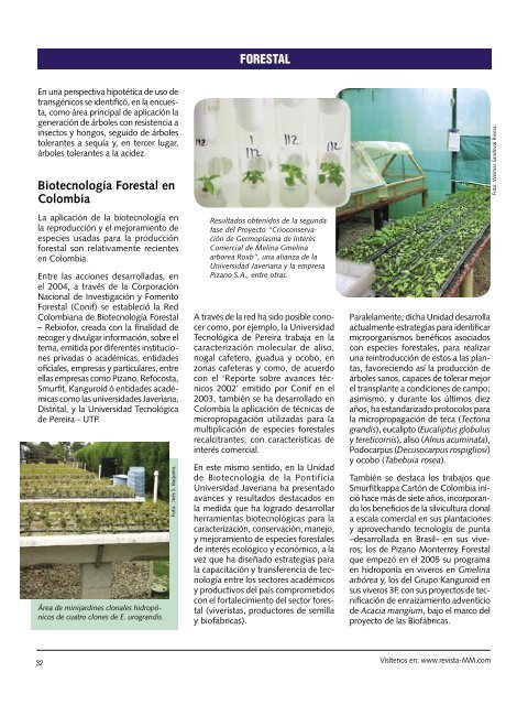 BiotecnologÃ­a Aplicada en Especies Forestales. - Revista El Mueble ...