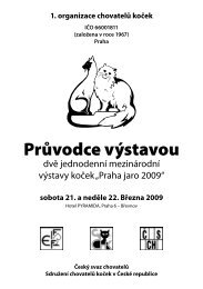 Průvodce výstavou - 1.OK