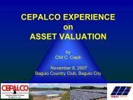 CEPALCO EXPERIENCE on ASSET VALUATION