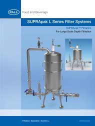 SUPRApak L Series Filter Systems - AMCO Instruments, SRL