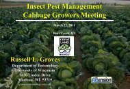 Insect pest management in cabbage - Russell Labs Site Hosting