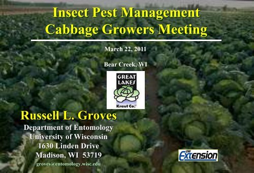 Insect pest management in cabbage - Russell Labs Site Hosting