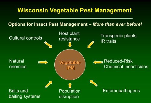 Insect pest management in cabbage - Russell Labs Site Hosting