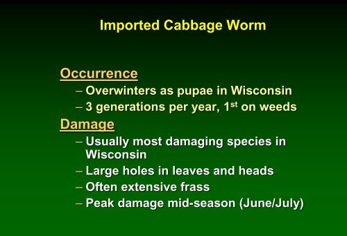 Insect pest management in cabbage - Russell Labs Site Hosting