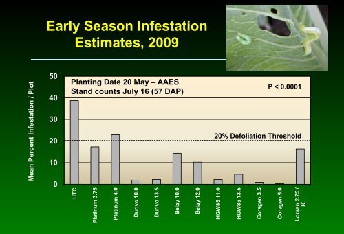 Insect pest management in cabbage - Russell Labs Site Hosting