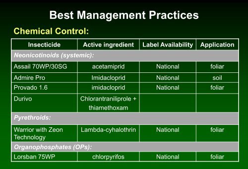 Insect pest management in cabbage - Russell Labs Site Hosting