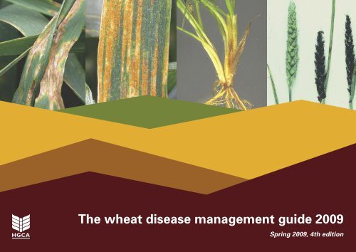 G38 Wheat disease management guide 2009 - HGCA