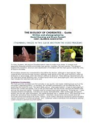 Biology of chordates video guide. - Distribution Access