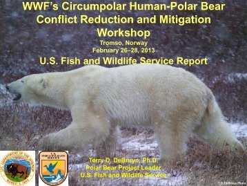 WWF's Circumpolar Human-Polar Bear Conflict Reduction and ...