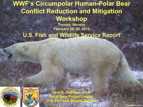 WWF's Circumpolar Human-Polar Bear Conflict Reduction and ...