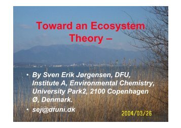 Introduction to Ecosystem Theory