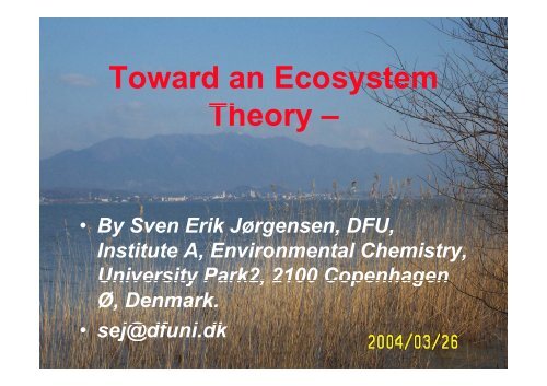 Introduction to Ecosystem Theory