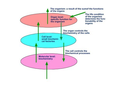 Introduction to Ecosystem Theory