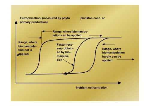 Introduction to Ecosystem Theory