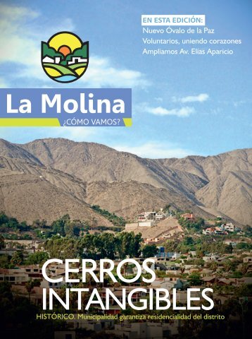 VER - Municipalidad de La Molina